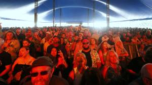 Bluesfest touring arm enters liquidation six months after festival collapse